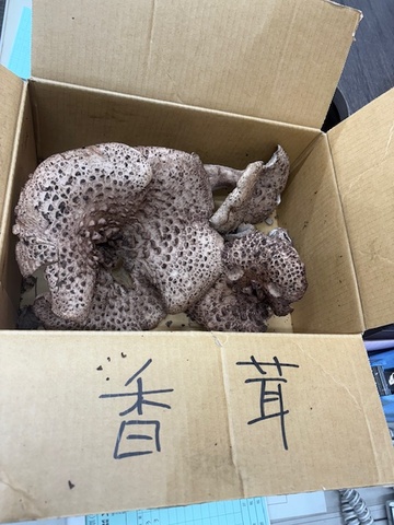 トピックス画像
