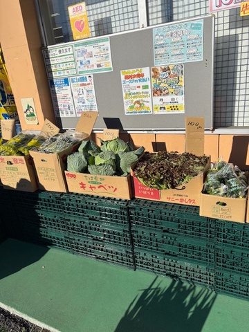 ドラックエースさん本町店にて朝市開催しました！たくさんの訪問ありがとうございました！次回告知をご期待ください。詰め放題が人気です！！画像