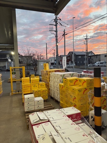 朝焼けがとてもキレイでした！！画像