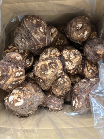 二重作商店年末用の商材数多く用意してあります！担当者もやる気満々です！画像