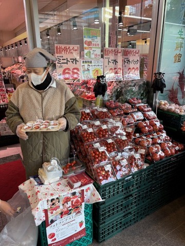 1/31.2/1と横浜ポートサイド店にて熊本のトマト、ミニトマトの試食販売を行いました！画像