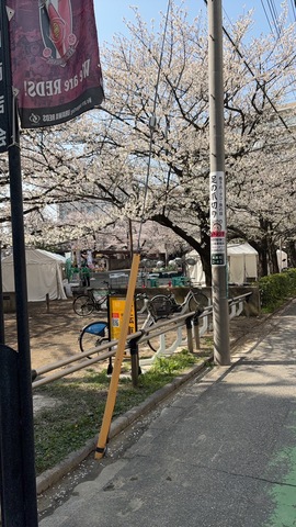 南浦和駅桜まつり🌸画像