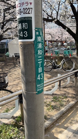南浦和駅桜まつり🌸画像