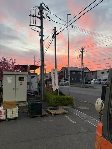 二重作商店にも春が到来です！！画像