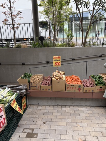 まるふ商店南与野店、朝市開催！！画像