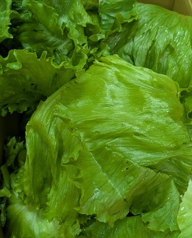 新鮮な野菜や果物✨画像