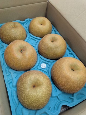 新鮮な野菜や果物✨画像